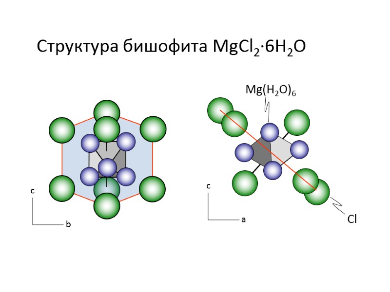 с b с a Структура бишофита MgCl2∙6H2O Mg(H2O)6 Cl